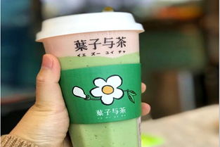 加盟叶子与茶需多少费用？冰淇淋加盟机遇解析